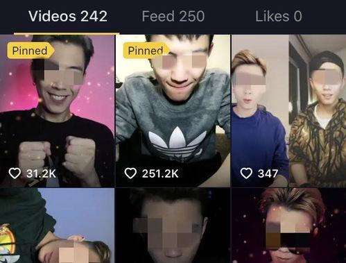 缅甸男网红爆料诈骗视频,揭秘网络诈骗背后的惊人真相